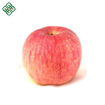 Chine fuji pomme commune fruits frais fuji apple